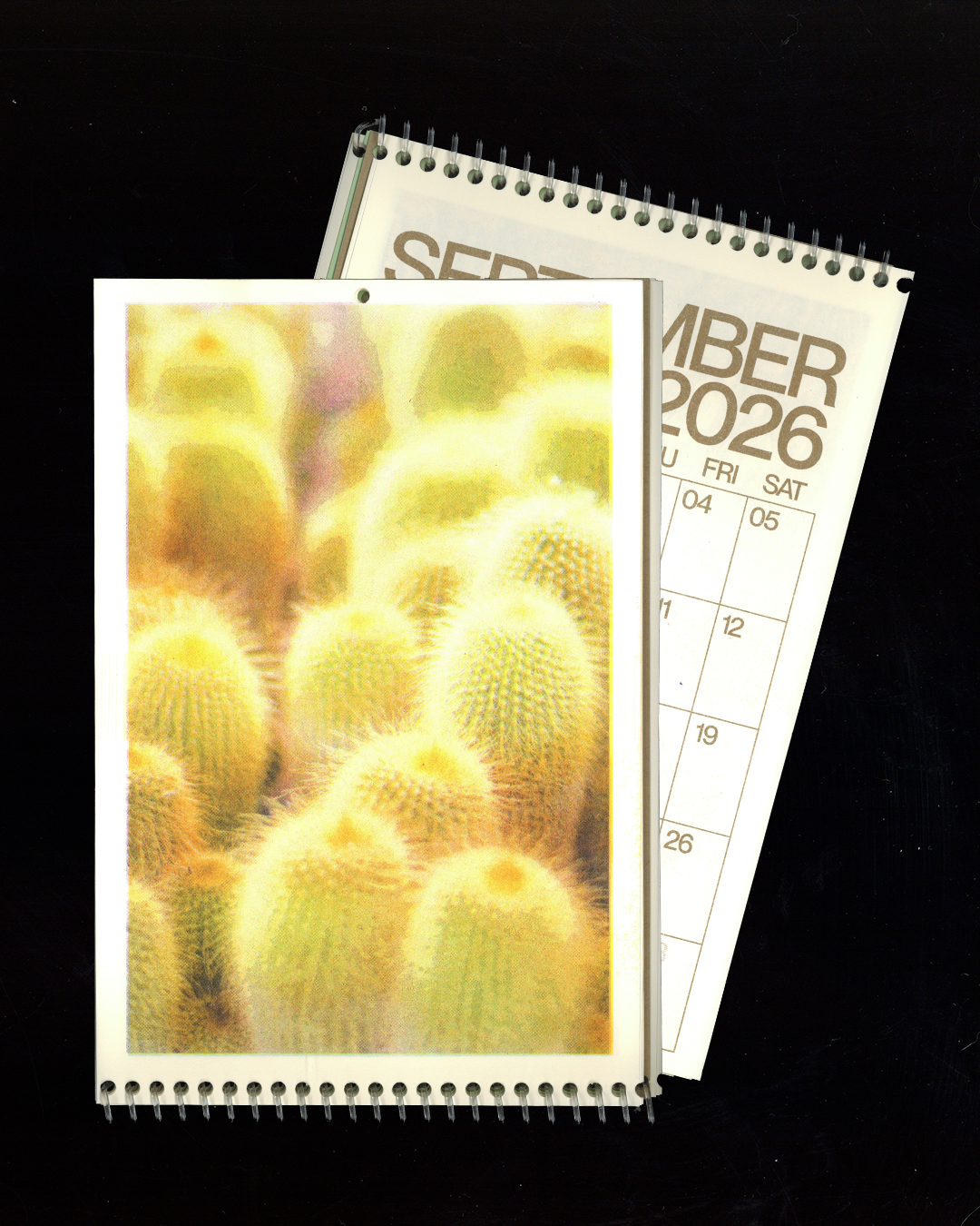 Cacti & Desert Dreams Risograph Small Hanging Calendar