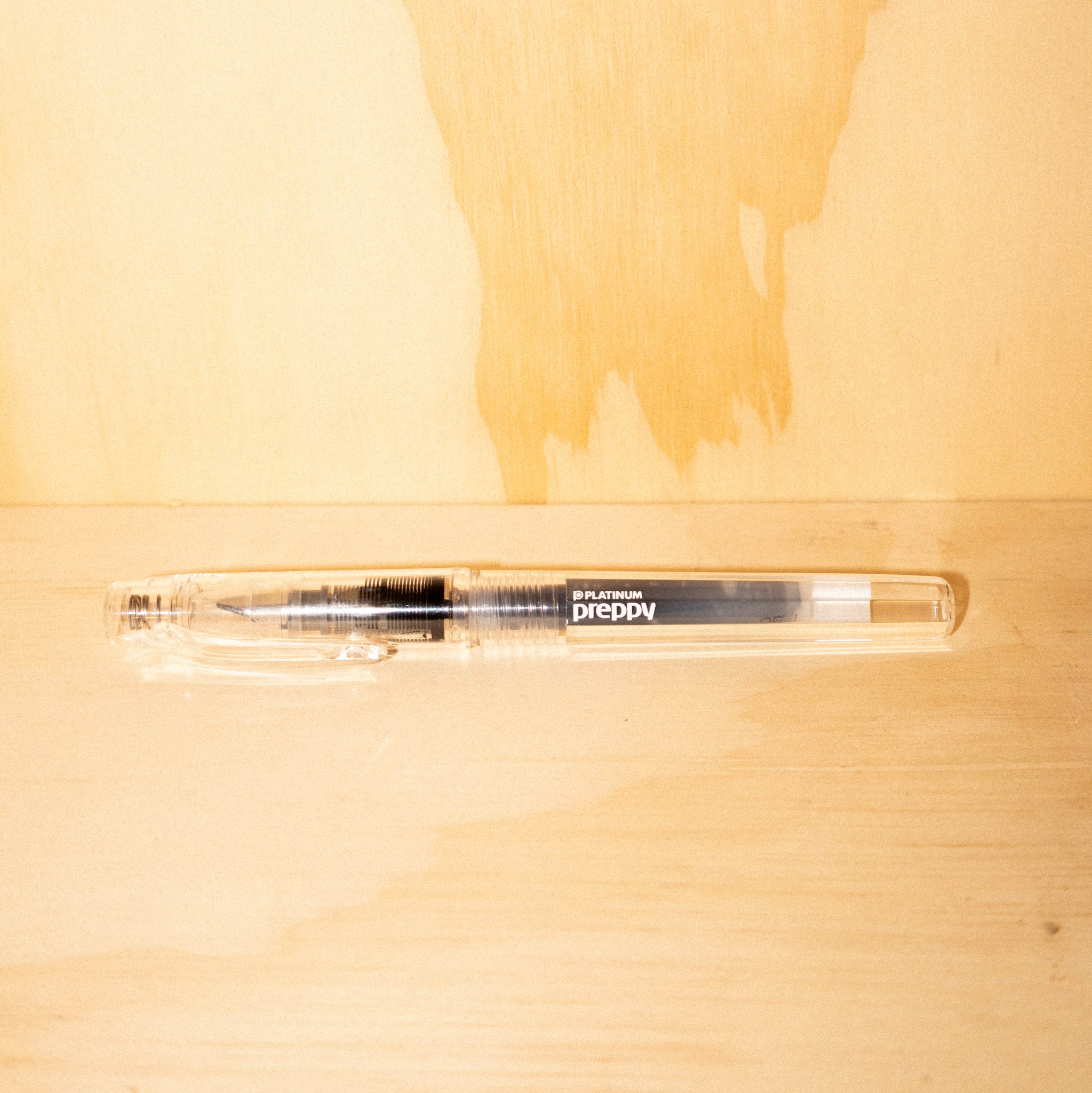 Platinum Pen Fountain Pen Preppy