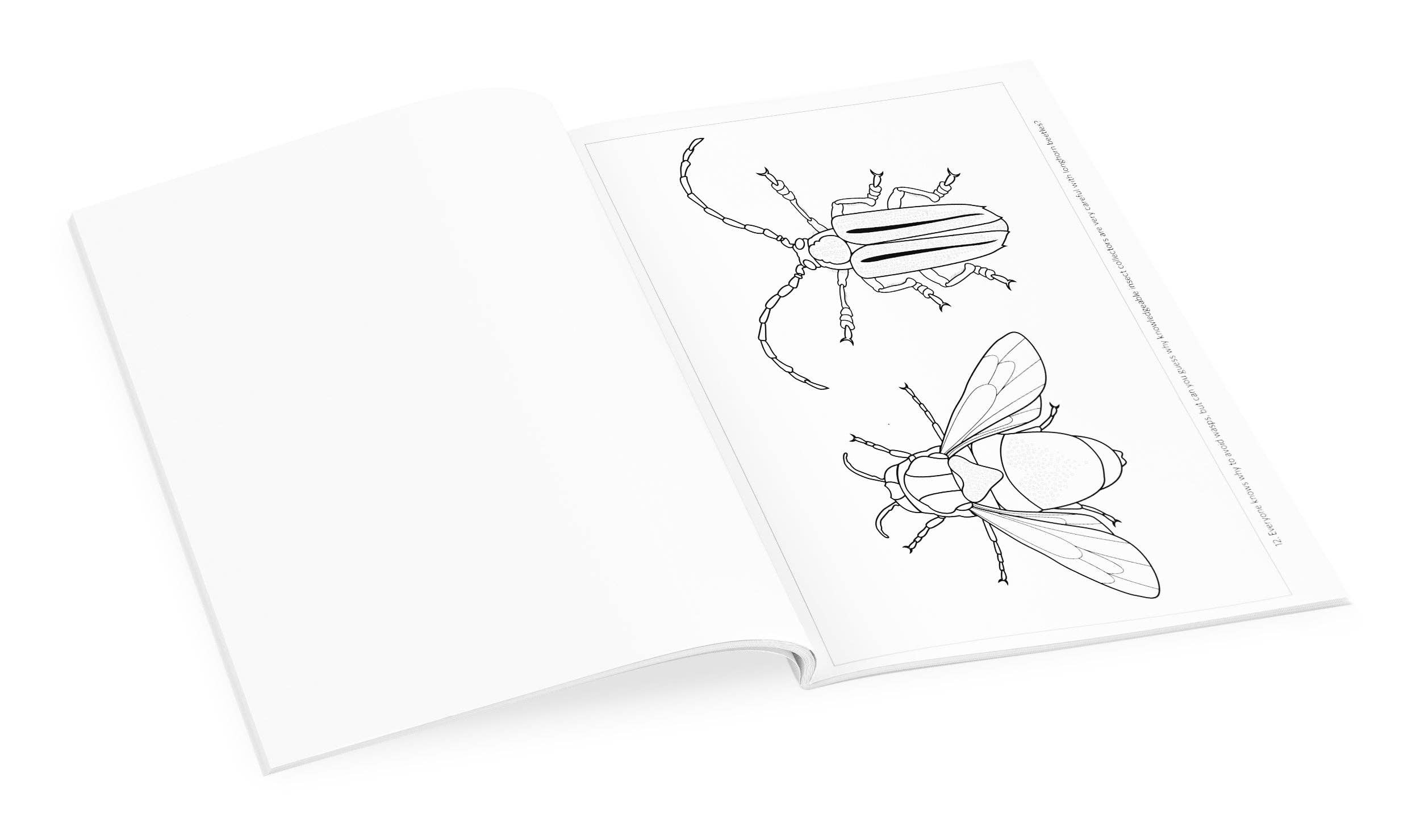 Incredible Insects: Designs by Christopher Marley Coloring Book