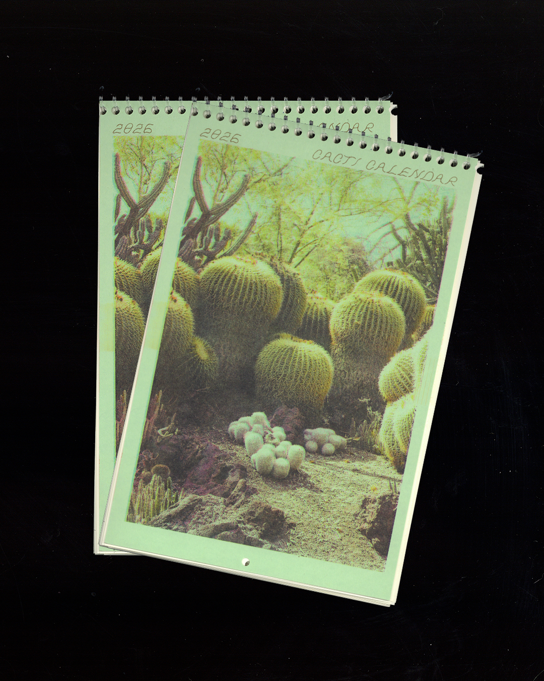 Cacti & Desert Dreams Risograph Small Hanging Calendar