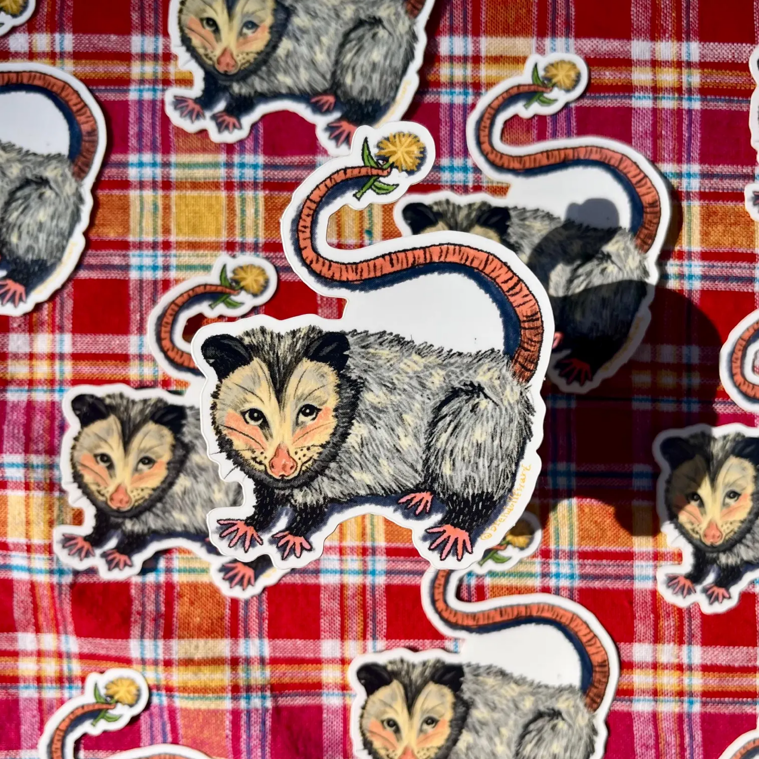Dandy Possum Sticker