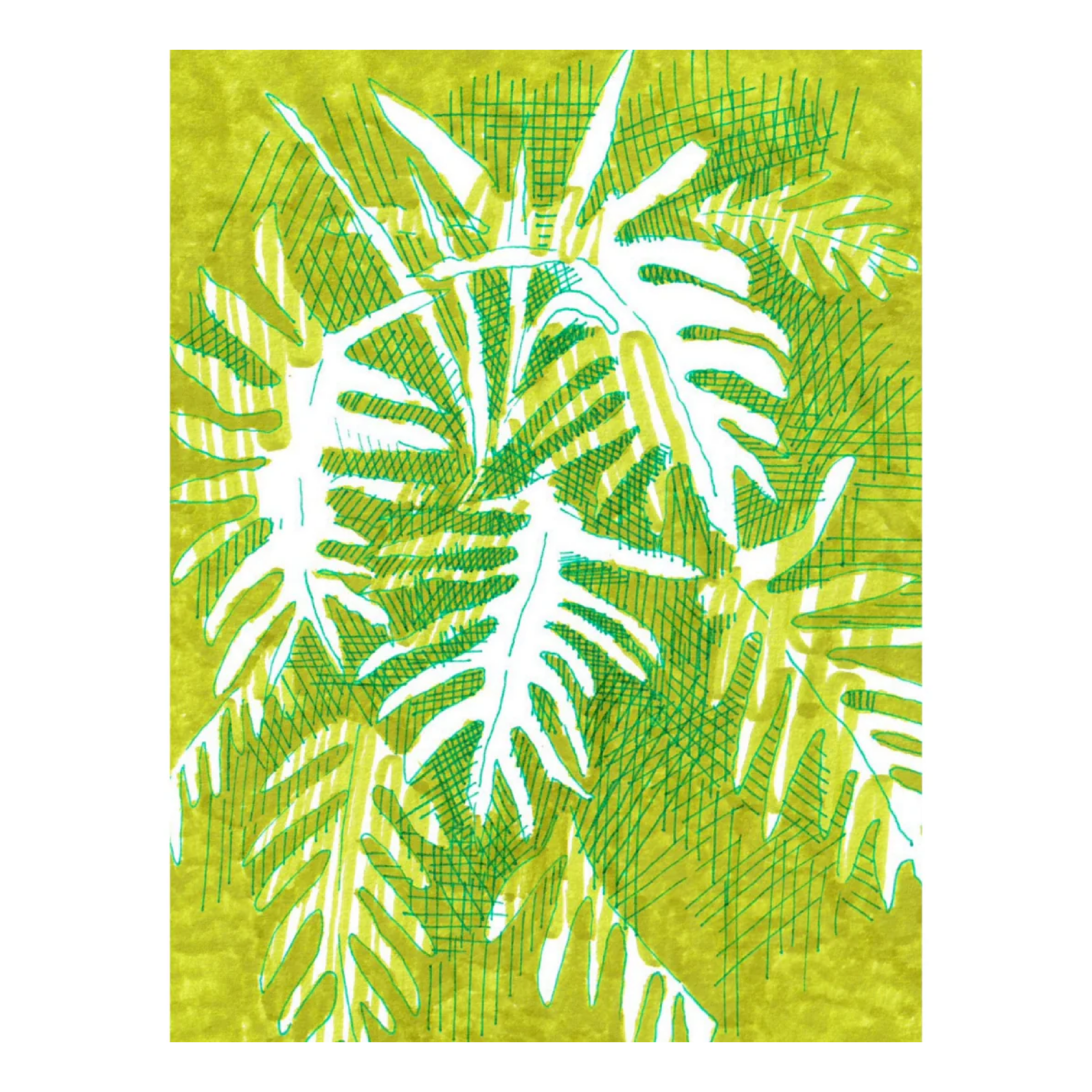 philodendron print