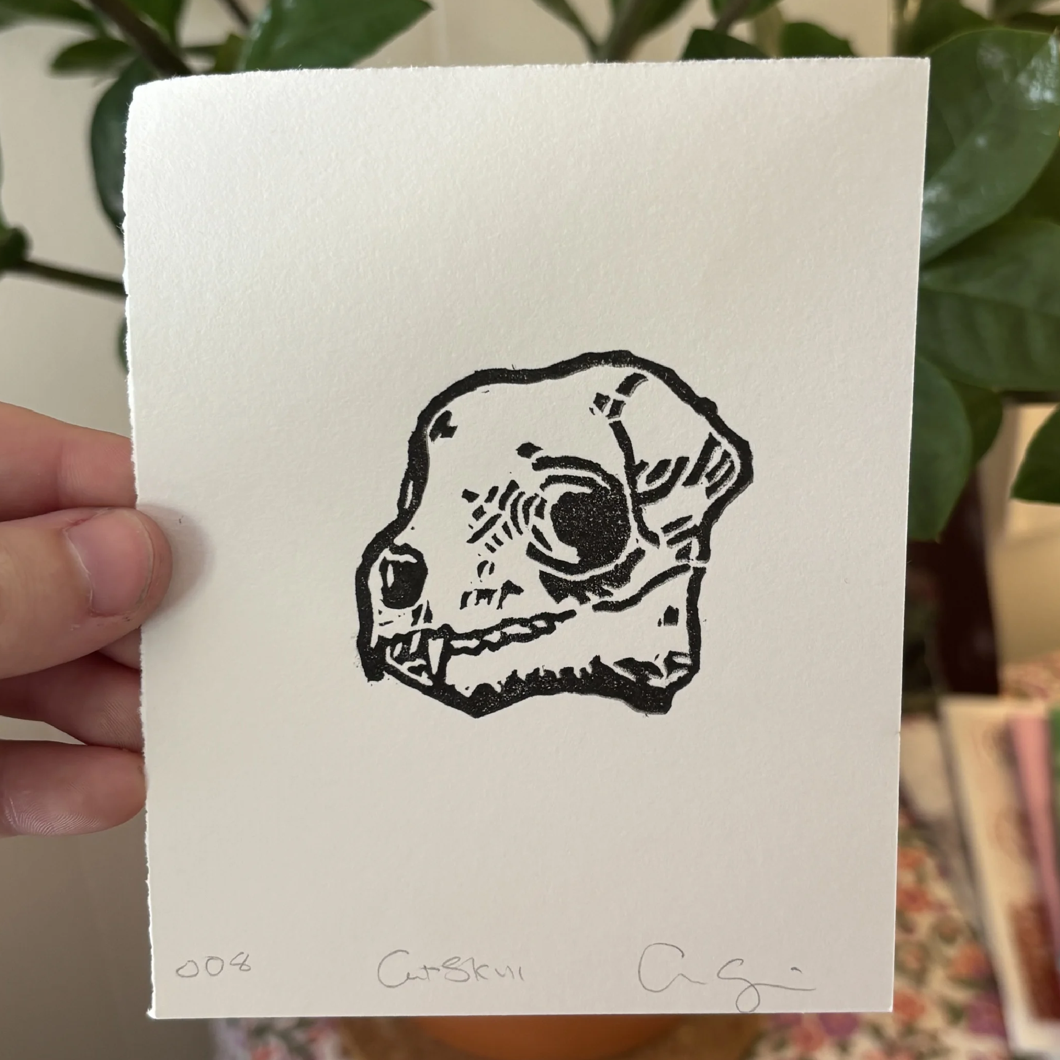 Cat Skull Print