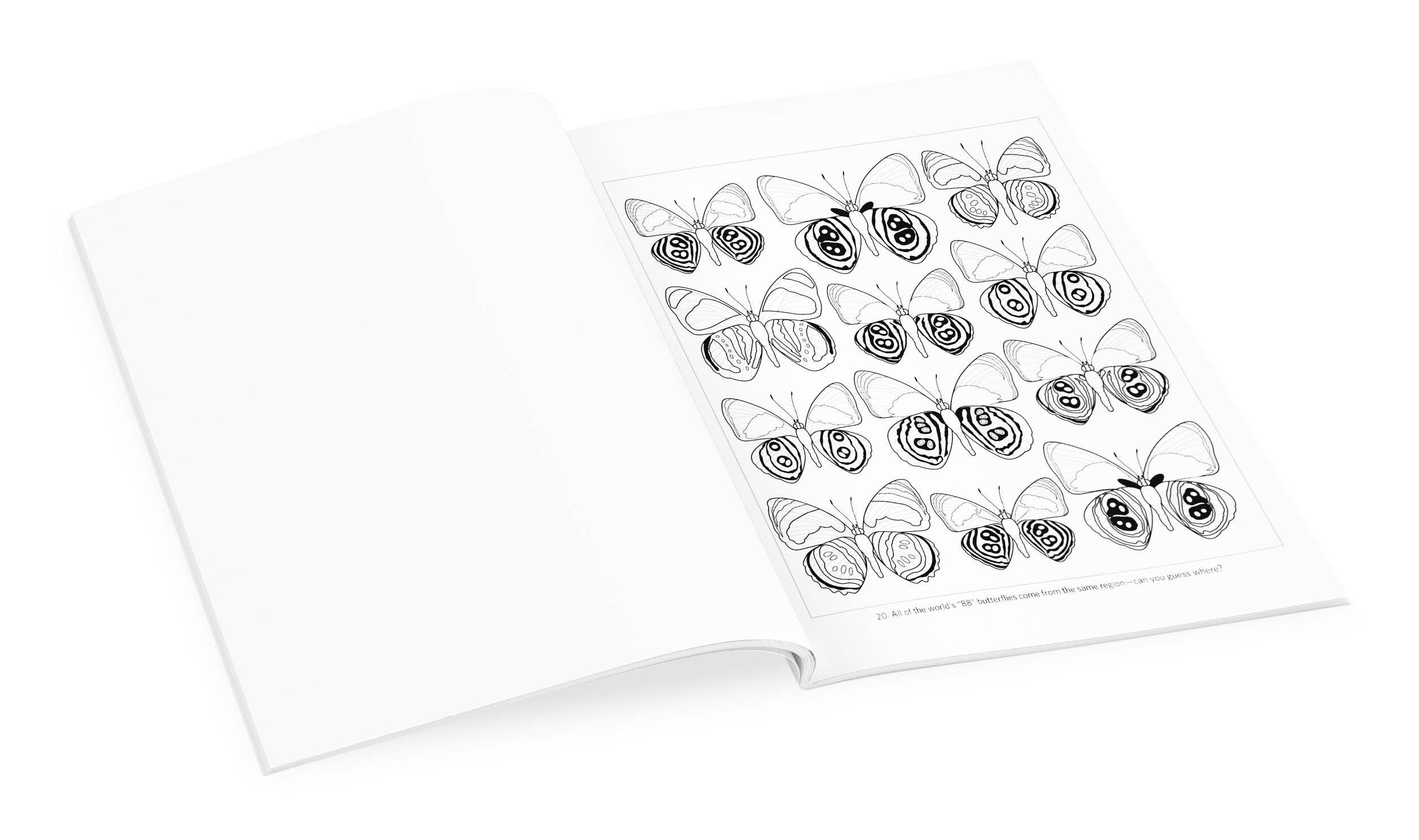 Incredible Insects: Designs by Christopher Marley Coloring Book