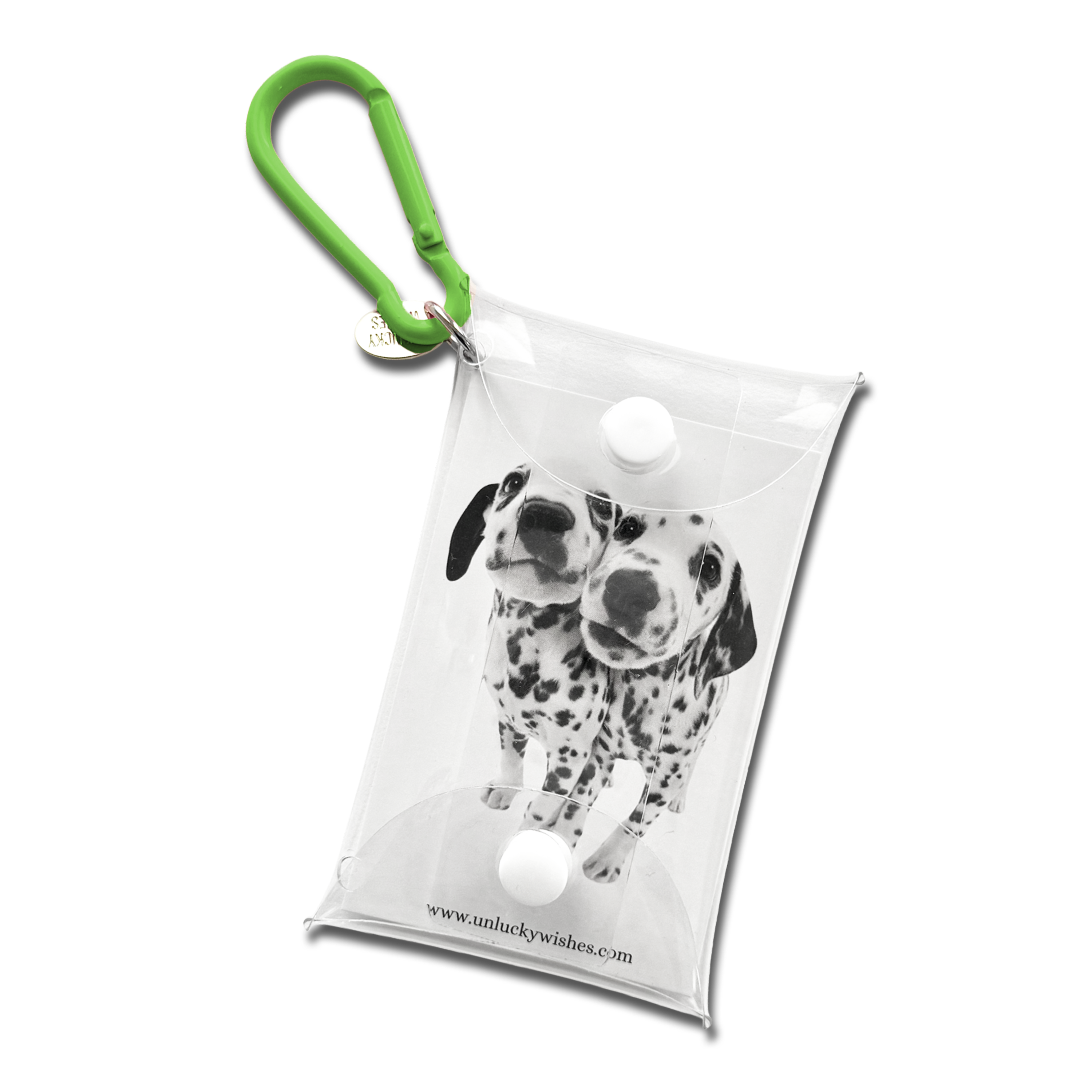 Clear PVC Pouch Green Keychain | Sonny Angels, Collectibles