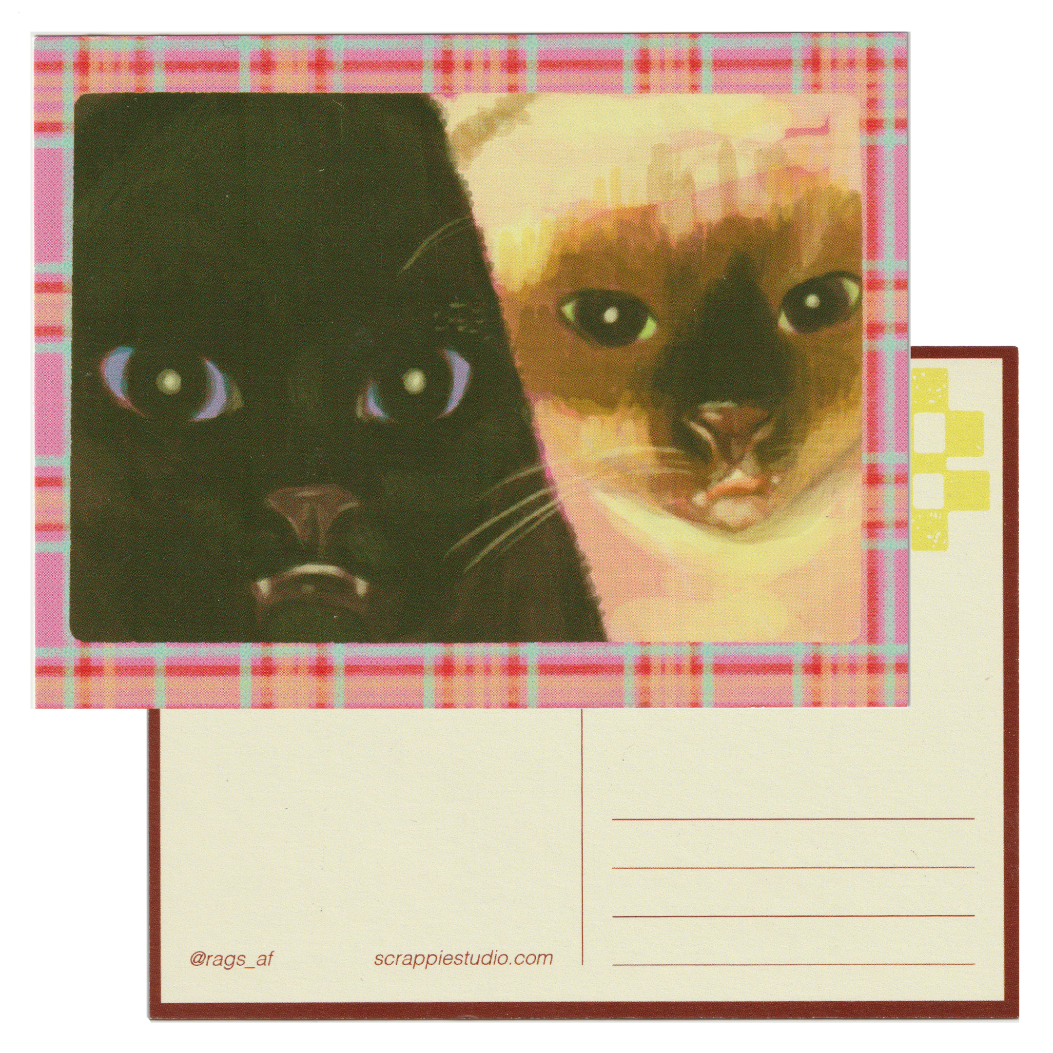 Cat Selfie! Postcard