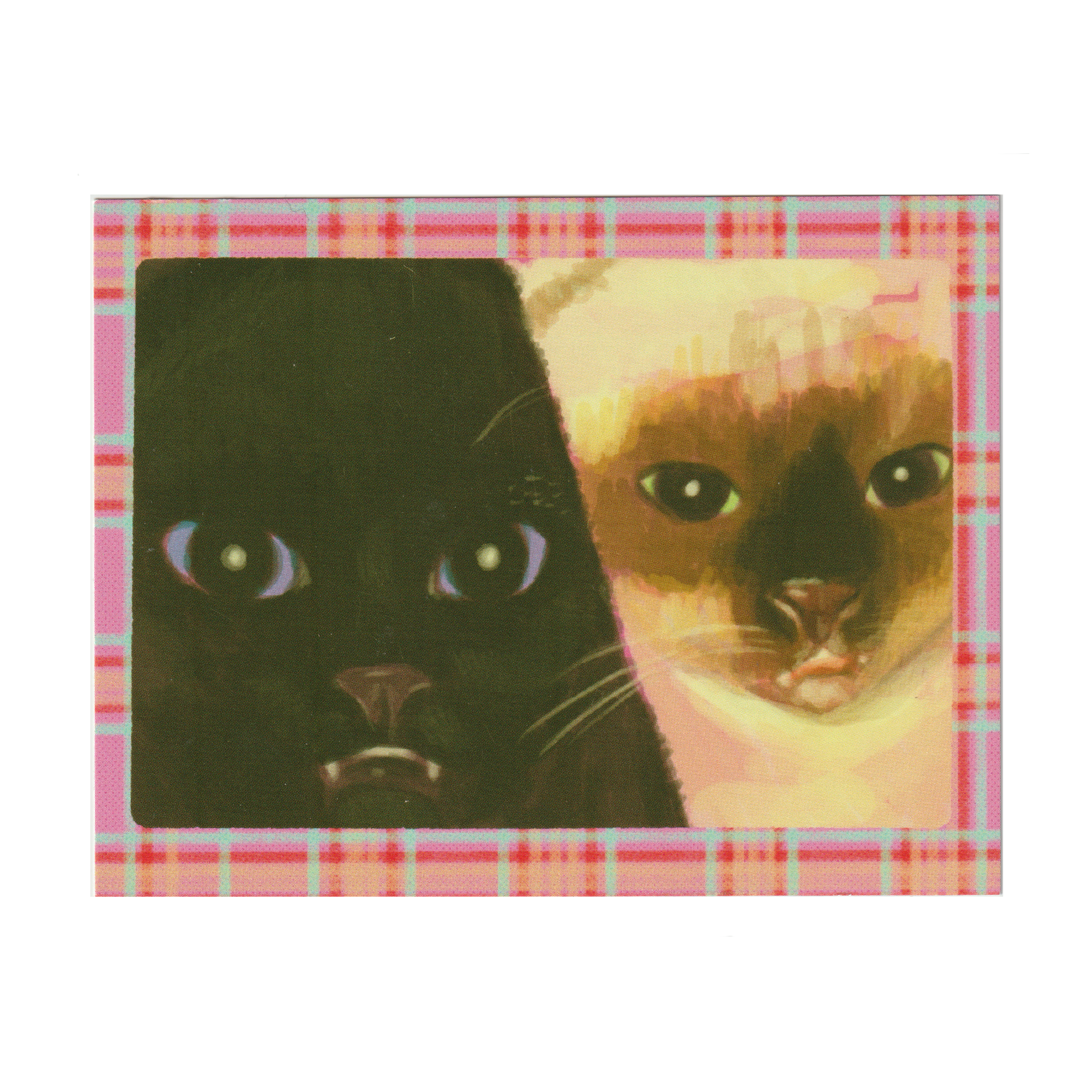 Cat Selfie! Postcard