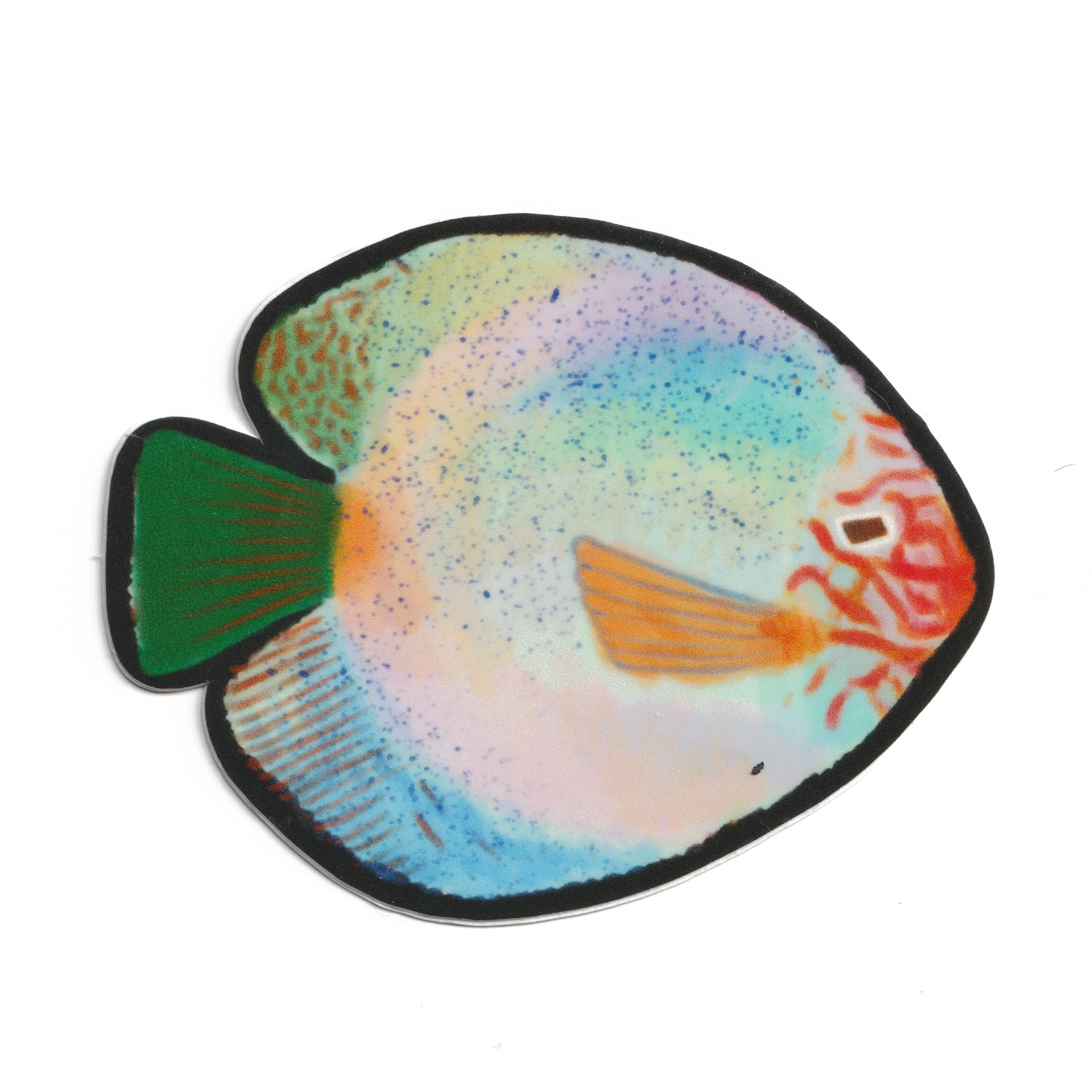 RAINBOW PHISH! sticker