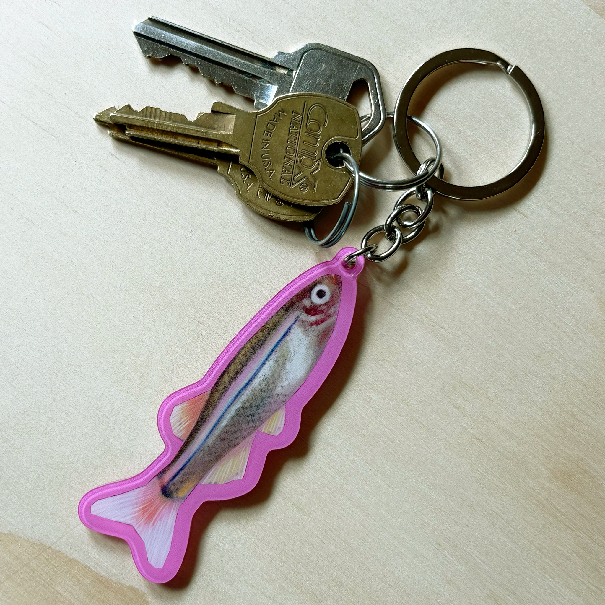 PINK PHISH! Keychain