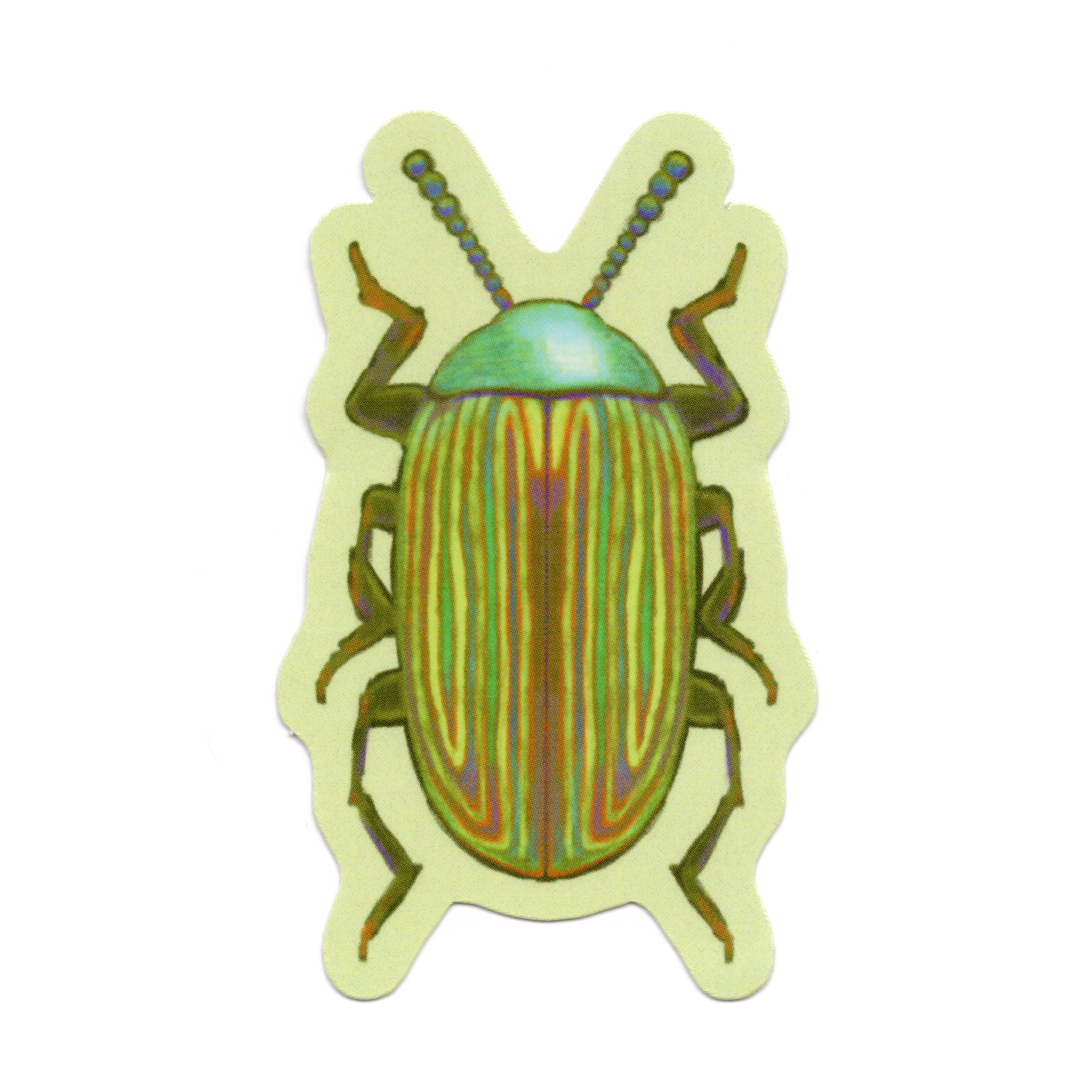 RAINBOW BEETLE! Sticker