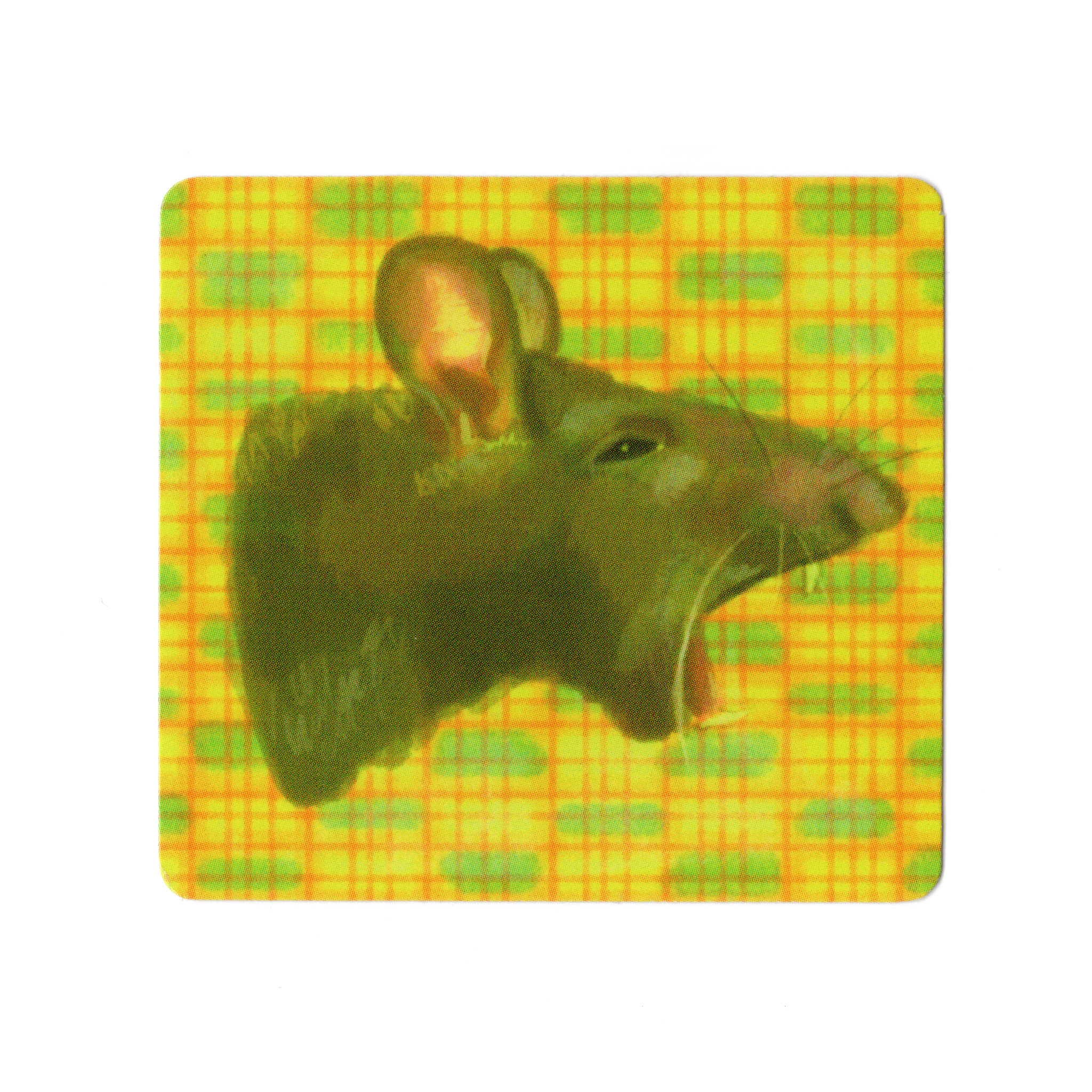 PLAID RAT! Sticker