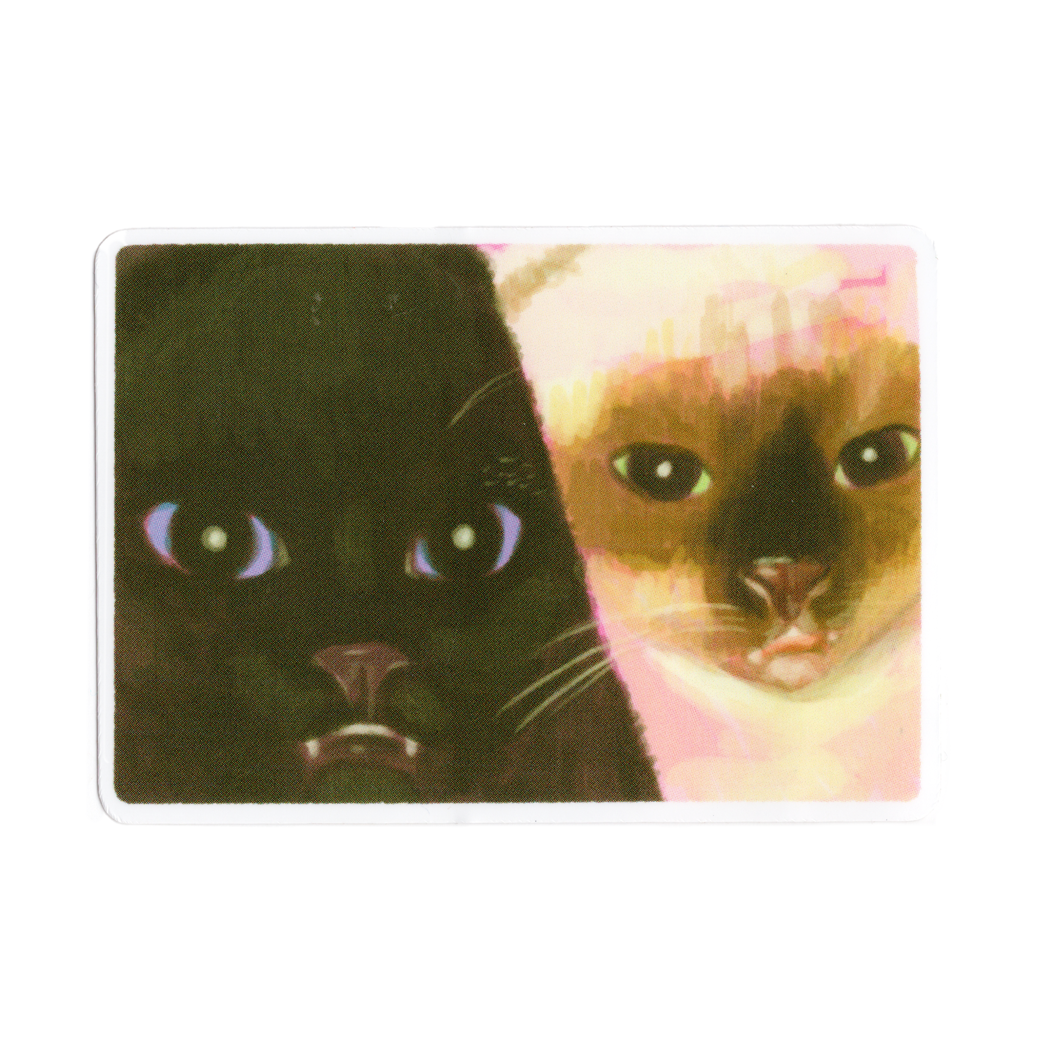 CAT SELFIE! Sticker